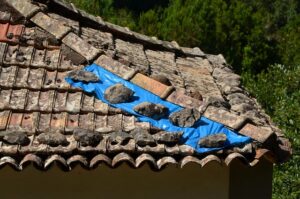 Comment identifier et traiter les fuites de toit de manière efficace et rapide